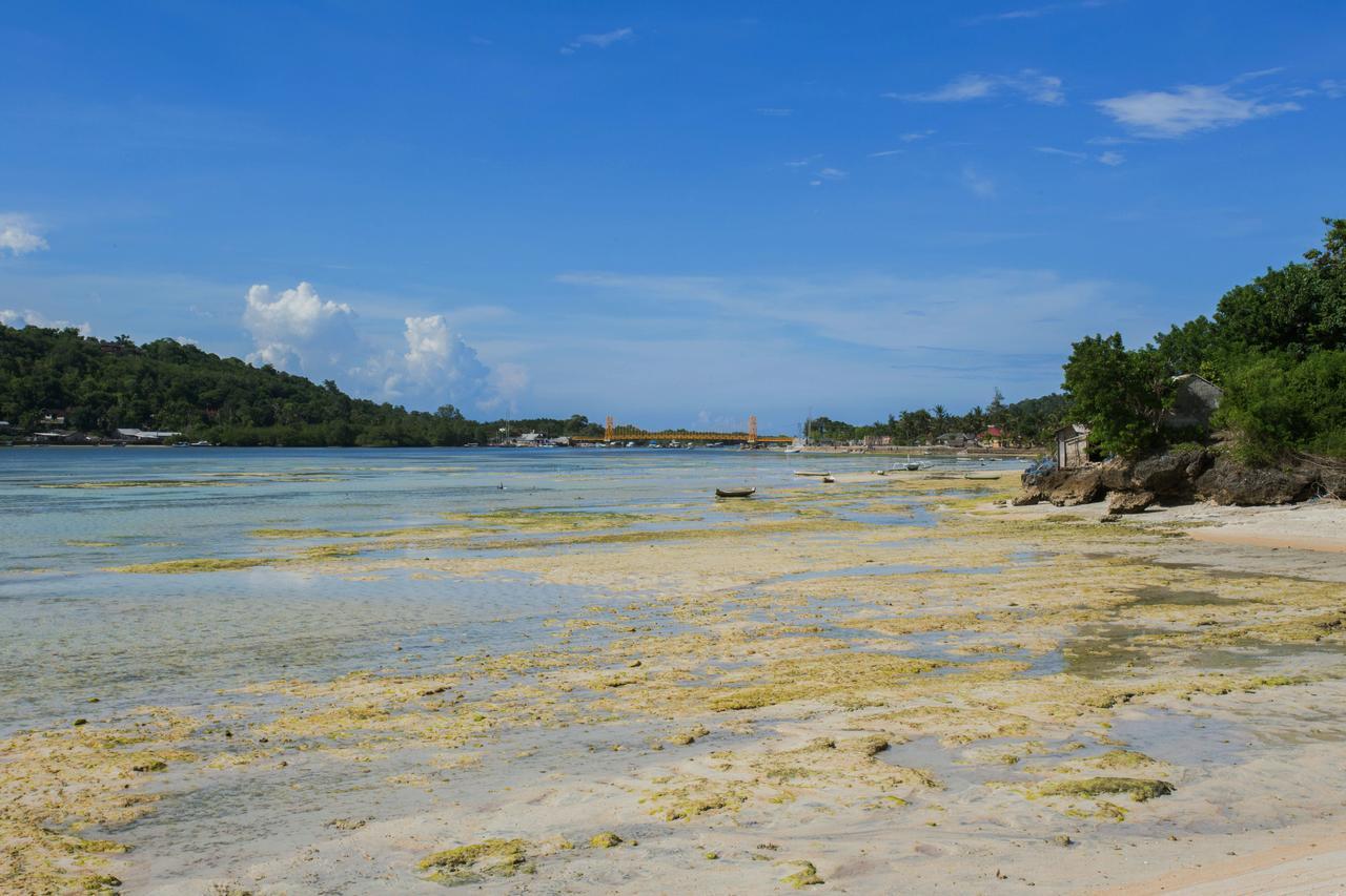 The Kubu221 Ceningan Lembongan Exterior foto